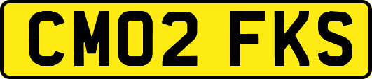CM02FKS