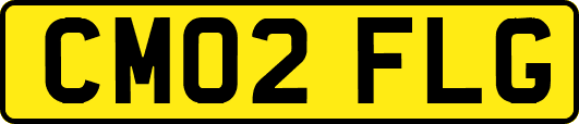 CM02FLG