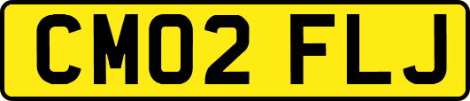 CM02FLJ