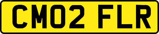 CM02FLR