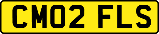 CM02FLS