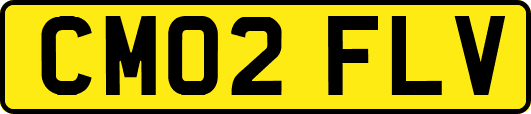 CM02FLV
