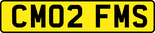 CM02FMS