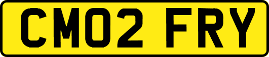 CM02FRY