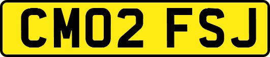 CM02FSJ