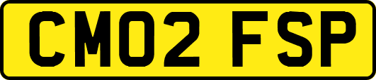 CM02FSP