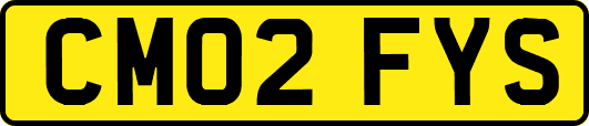 CM02FYS