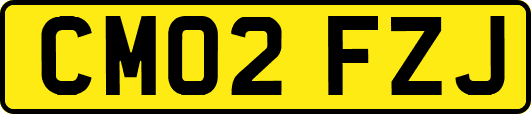 CM02FZJ