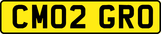 CM02GRO