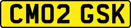 CM02GSK