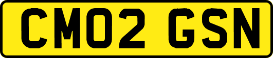 CM02GSN