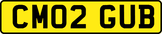 CM02GUB