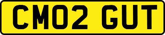 CM02GUT