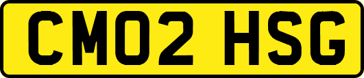 CM02HSG