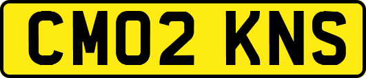 CM02KNS