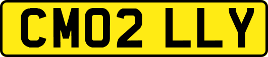 CM02LLY