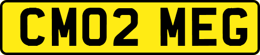 CM02MEG