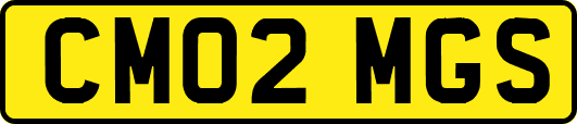 CM02MGS