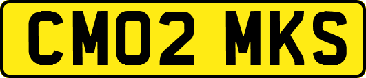 CM02MKS