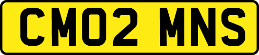 CM02MNS