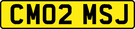 CM02MSJ