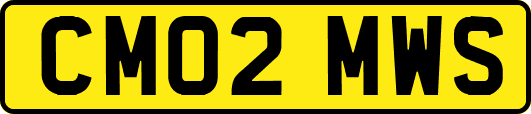 CM02MWS