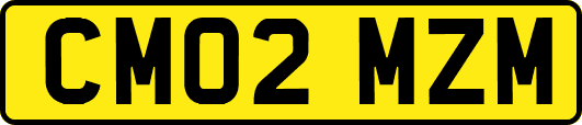 CM02MZM