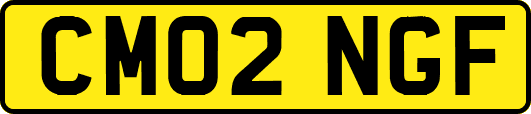 CM02NGF