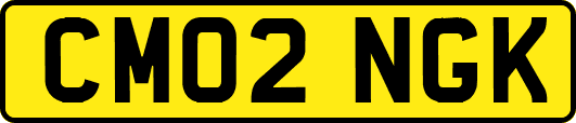 CM02NGK