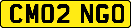 CM02NGO