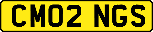 CM02NGS
