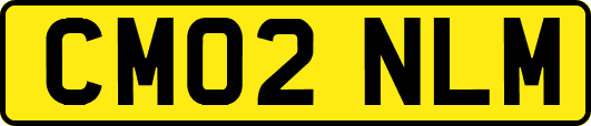 CM02NLM