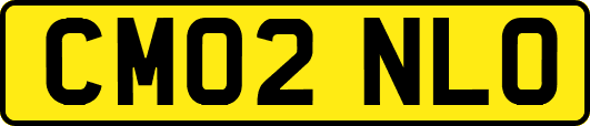 CM02NLO