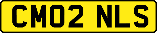 CM02NLS