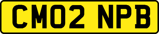 CM02NPB