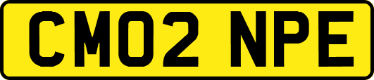 CM02NPE