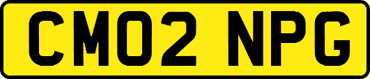 CM02NPG