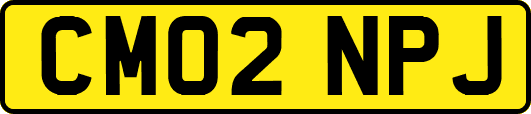 CM02NPJ