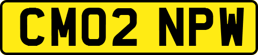 CM02NPW