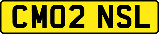 CM02NSL