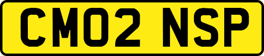 CM02NSP