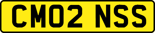 CM02NSS