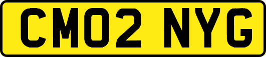 CM02NYG
