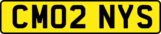 CM02NYS