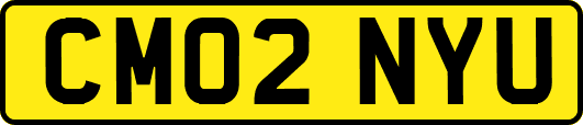 CM02NYU