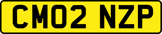 CM02NZP