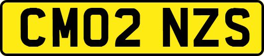 CM02NZS