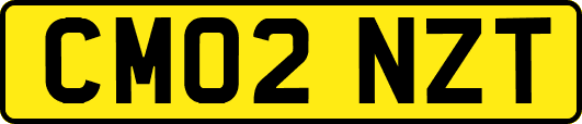 CM02NZT