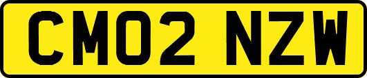 CM02NZW