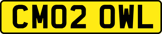 CM02OWL